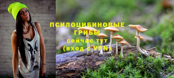 MDMA Premium VHQ Белая Калитва