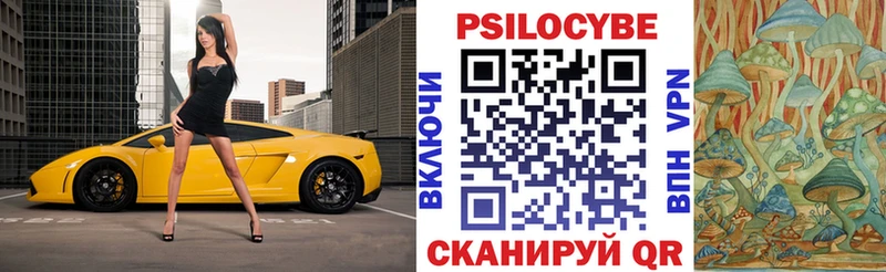 omg   Гаврилов-Ям  Галлюциногенные грибы мицелий 